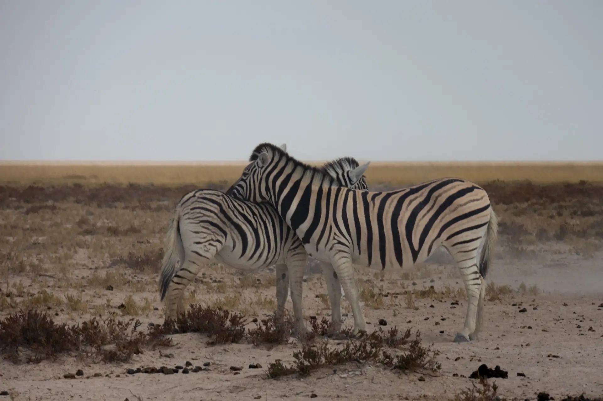 Romantische en avontuurlijke reis naar Kenia